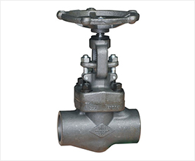 API 602 Forged Globe Valves-HFT Valve