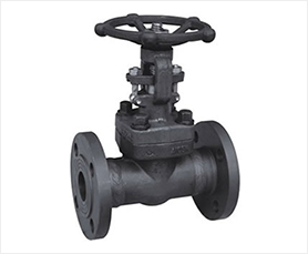 API 602 Forged Steel Gate Valves-HFT Valve