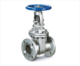 API 603 Cast Stainless Steel Gate Valves-HFT Valves