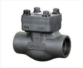 Forged Steel Check Valves-HFT Valve