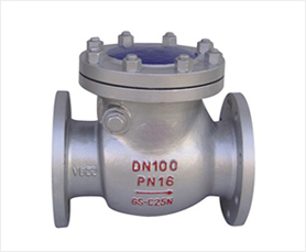 Gost Standard Check Valves-HFT Valve