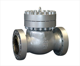 Pressure Seal Check Valves-HFT Valve