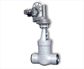 Pressure Seal Gate Valves-HFT Valve